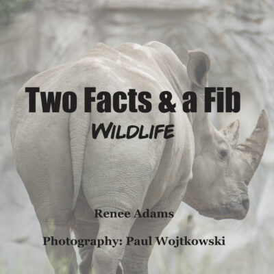 Wildlife