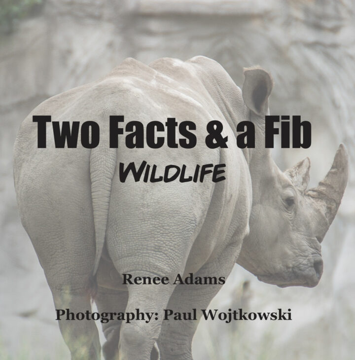 Wildlife