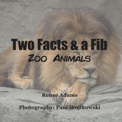 Zoo Animals
